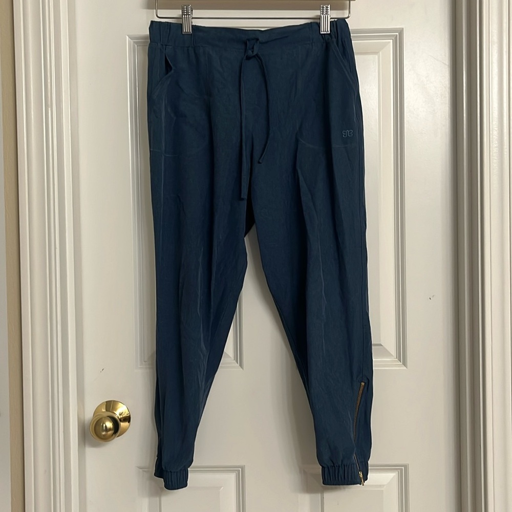 Albion Jetsetter Jogger (Gray Blue)
